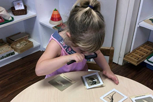 country day montessori school 1