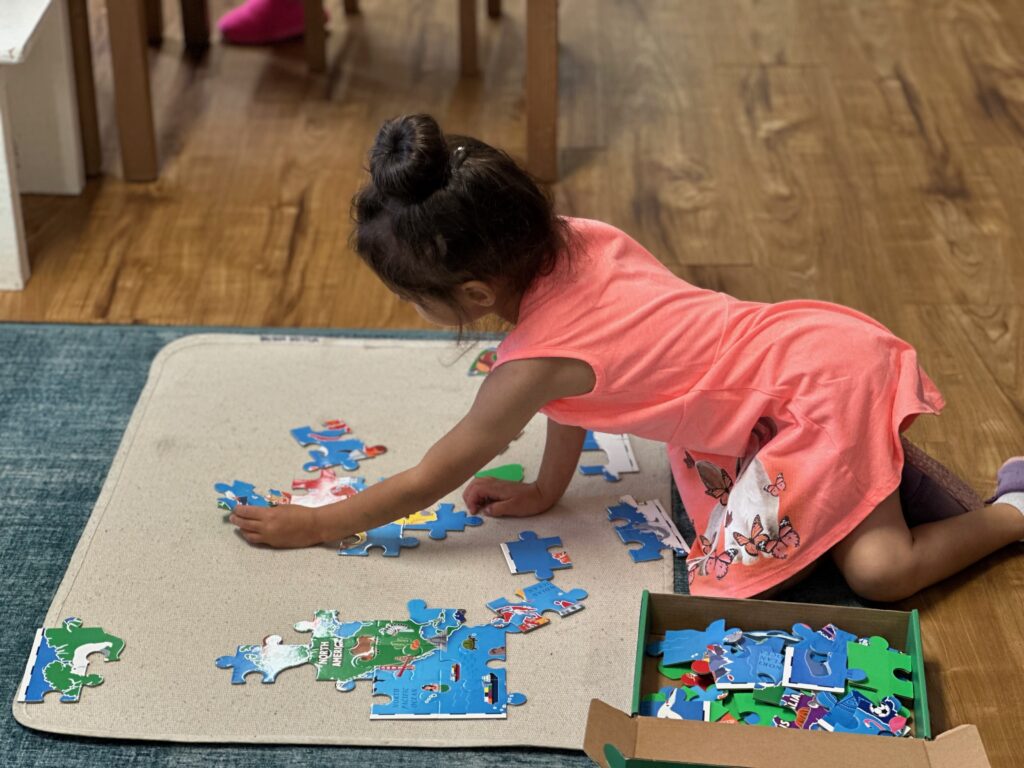 The Role of Curiosity and Intrinsic Motivation