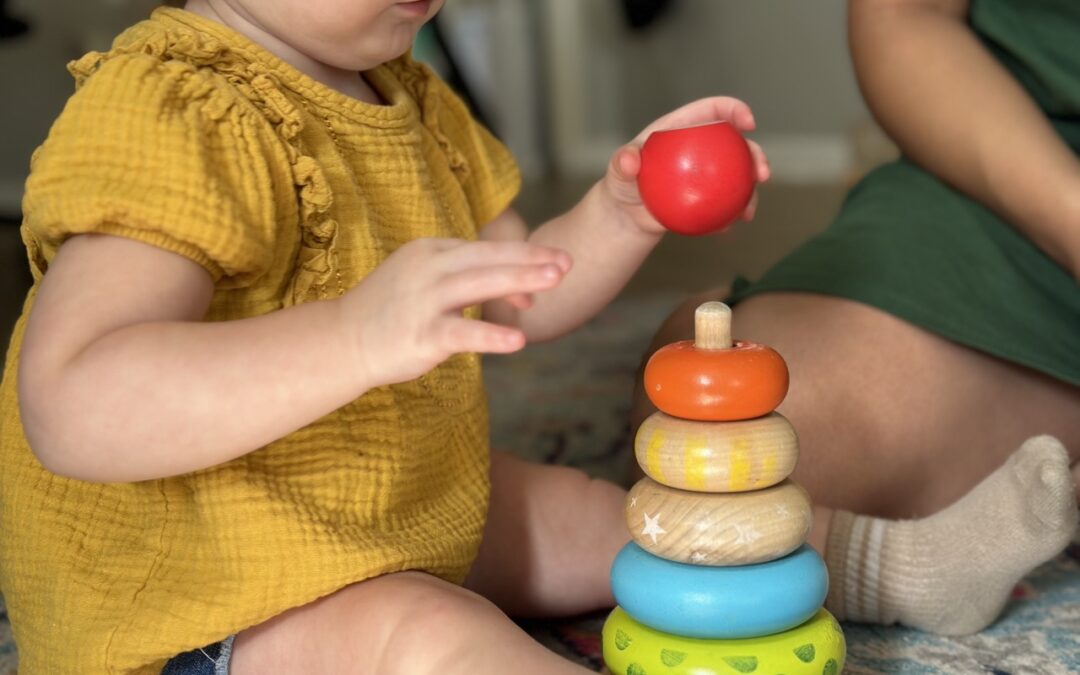 Montessori Curriculum Guide: Ages 3–12 in San Antonio