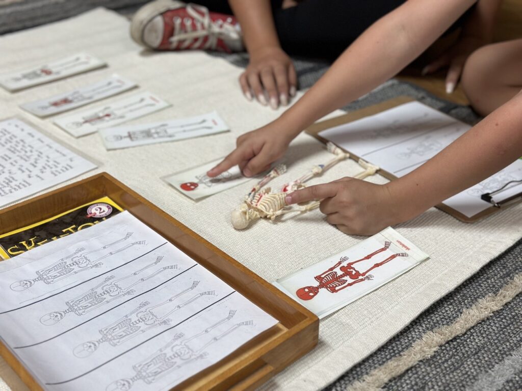 Choosing the Right Early Childhood Program